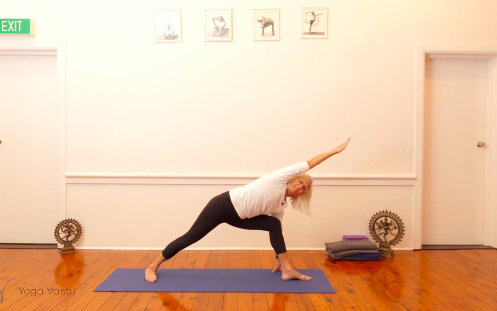 Online Iyengar yoga videos | Dynamic Miscellaneous Class (Level 3)