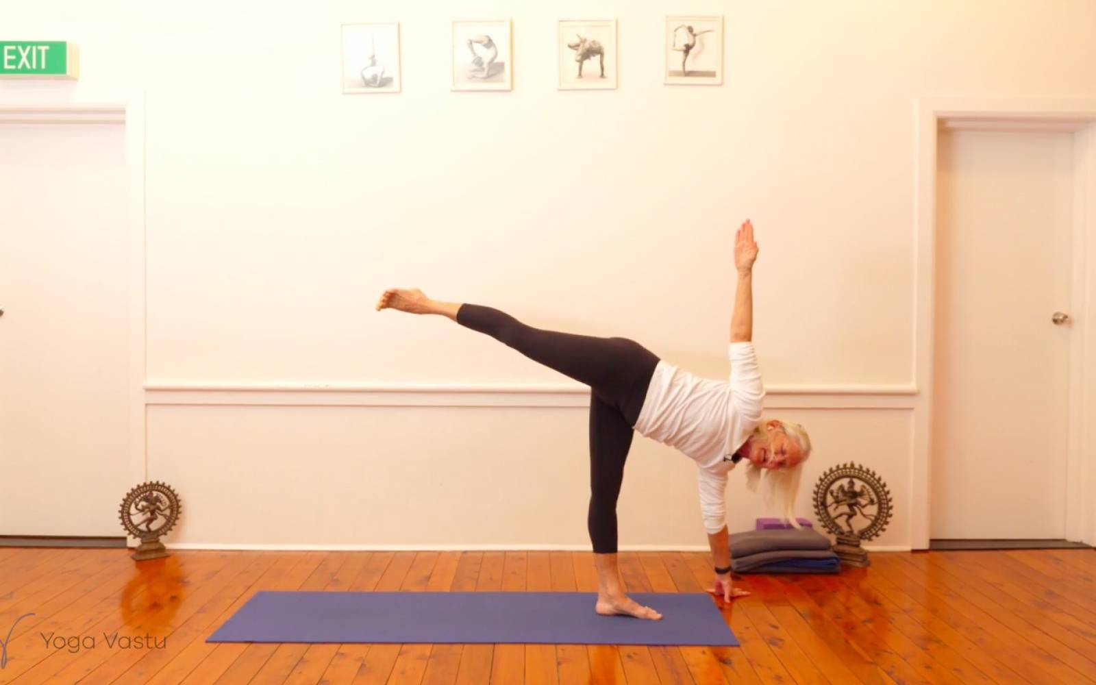 Online Iyengar yoga videos | Dynamic Miscellaneous Class (Level 3)