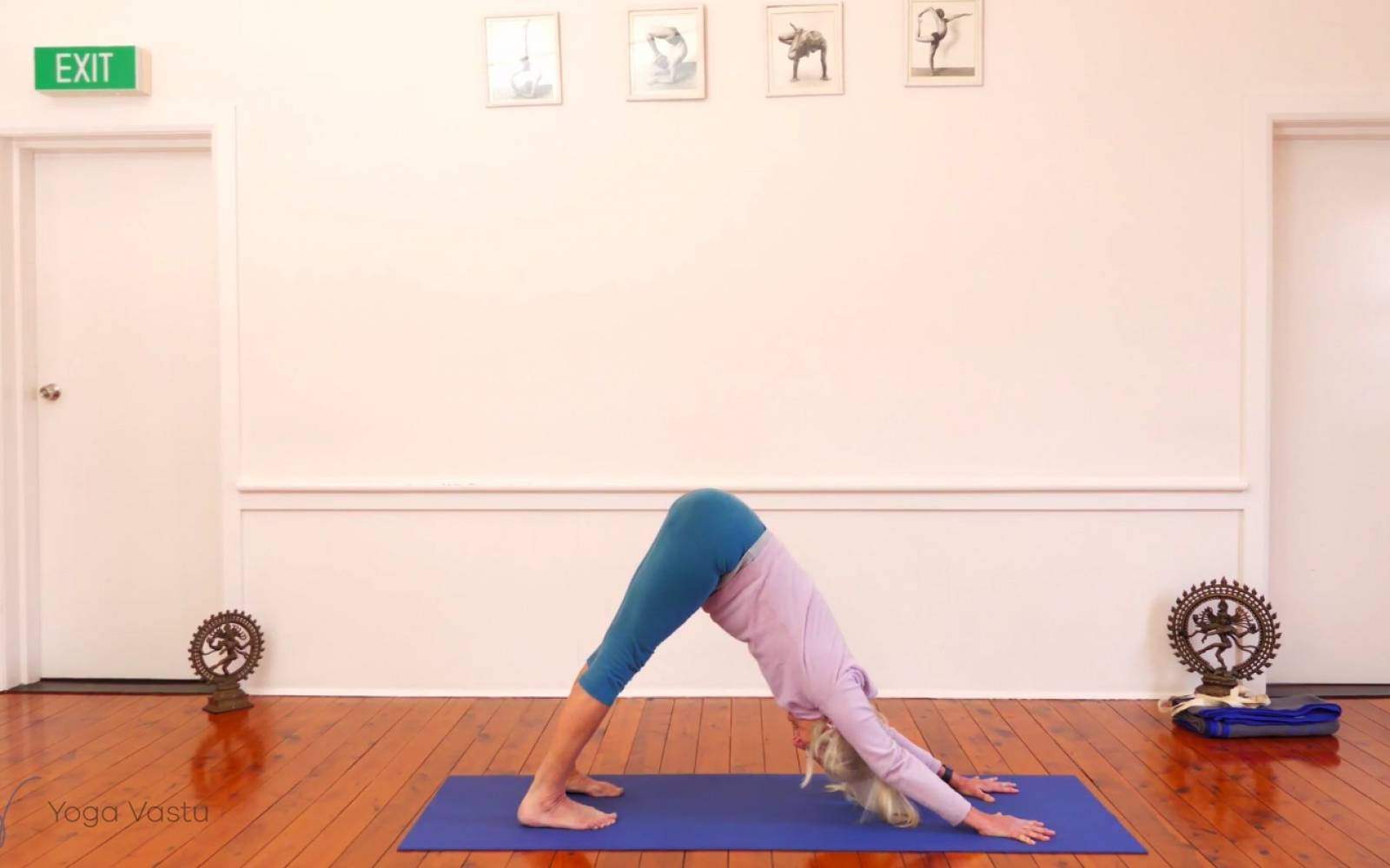 Online Iyengar yoga videos | Forward Bends with a Focus on the Inner Groin (Advanced)