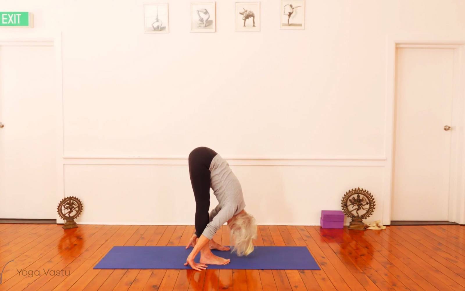 Advanced Adjustments: Backbends and Balancing Poses — Kaia Yoga