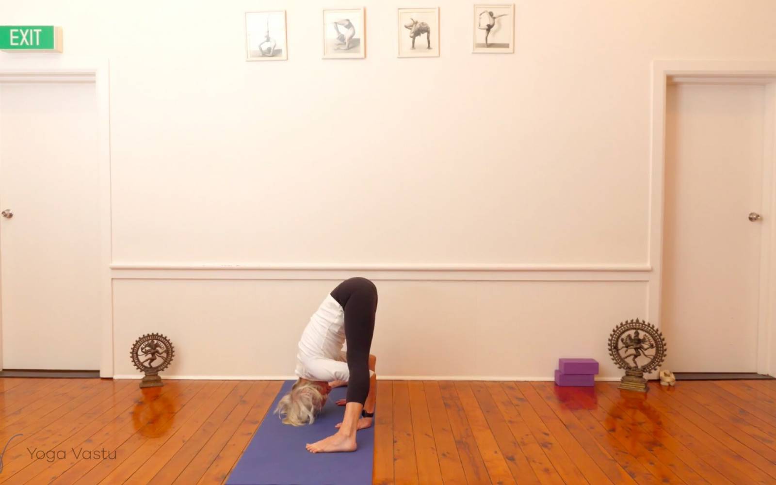 Online Iyengar yoga videos | Backbends: Ustrasana and Urdhva Dhanurasana (Level 1/2)