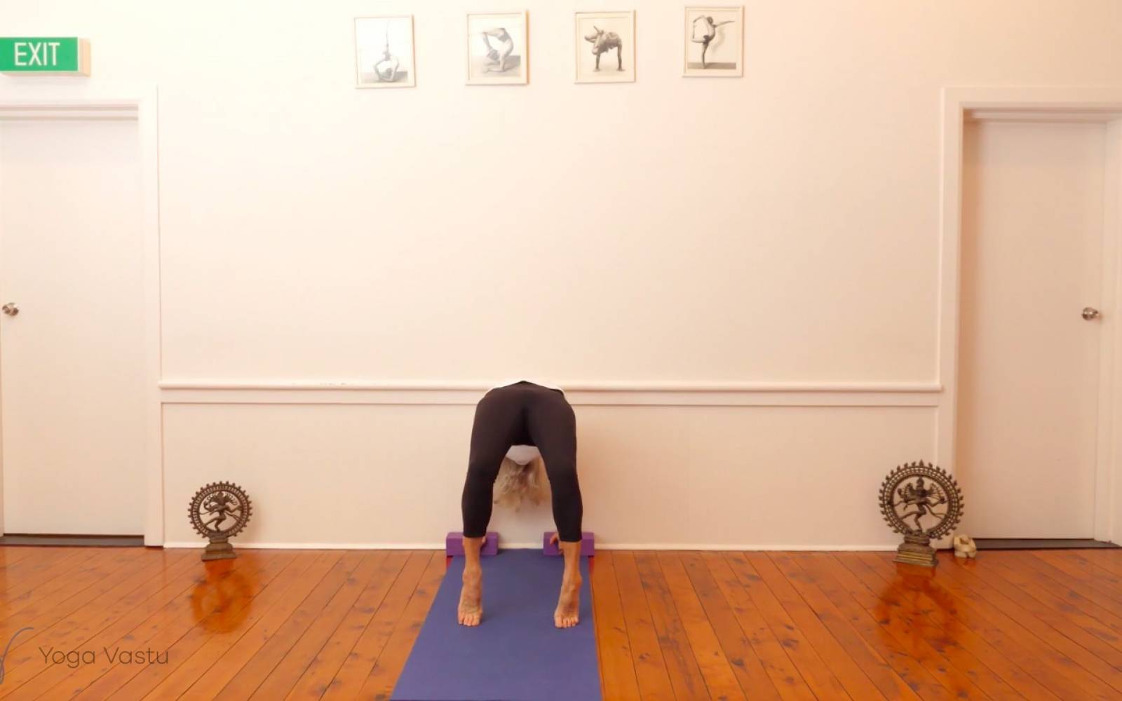 Online Iyengar yoga videos | Backbends: Ustrasana and Urdhva Dhanurasana (Level 1/2)