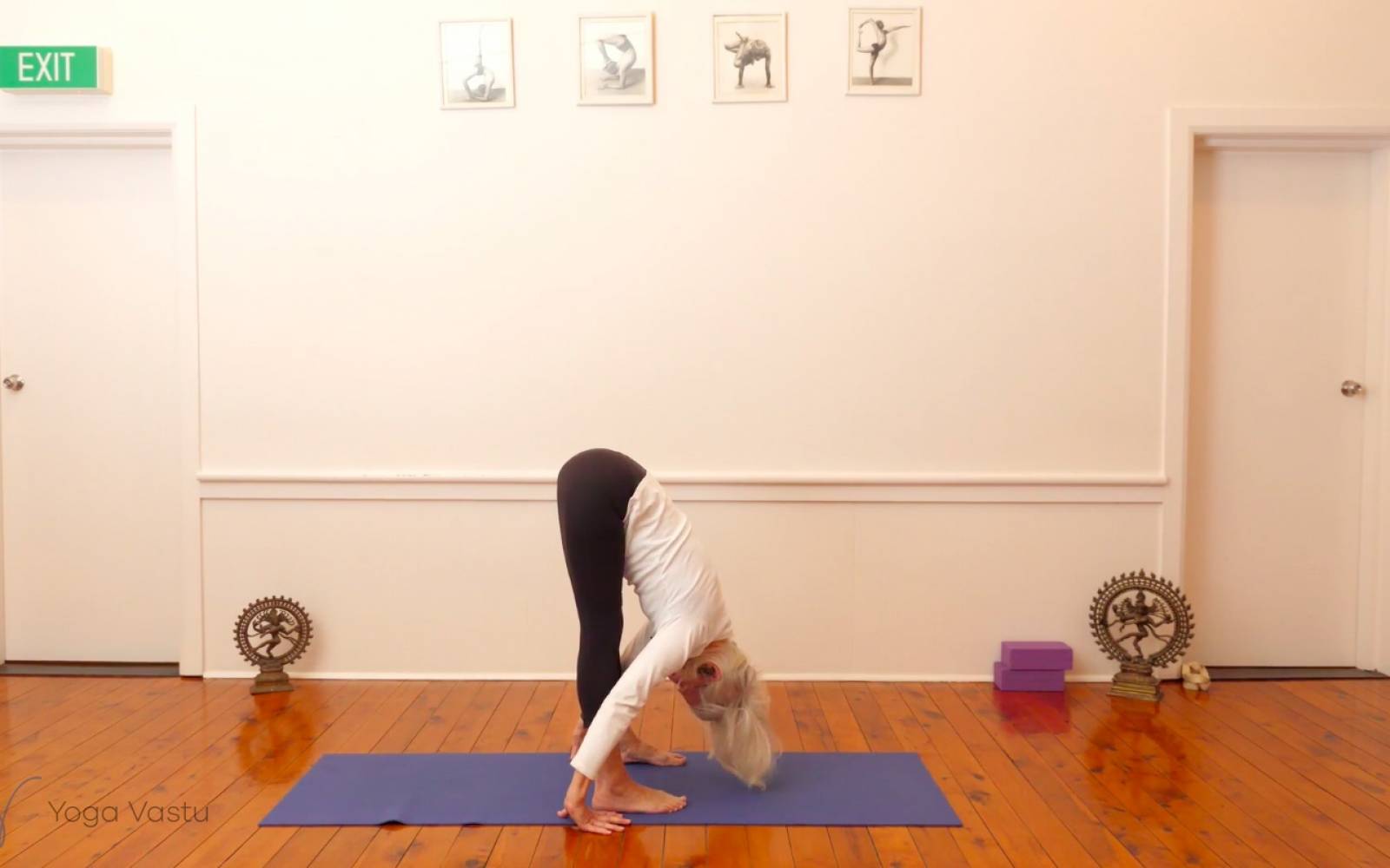 Online Iyengar yoga videos | Backbends: Ustrasana and Urdhva Dhanurasana (Level 1/2)