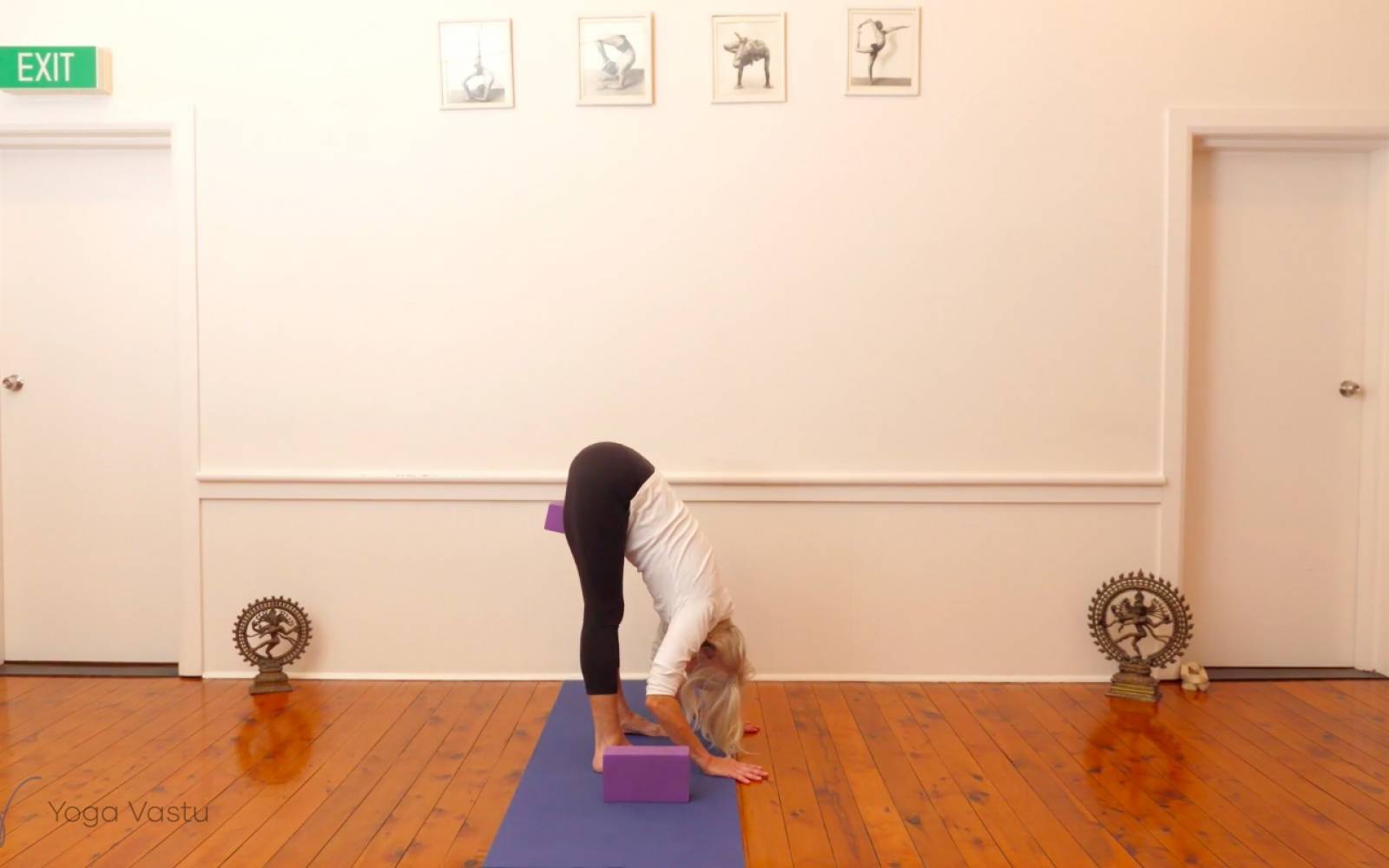 Online Iyengar yoga videos | Backbends: Ustrasana and Urdhva Dhanurasana (Level 1/2)