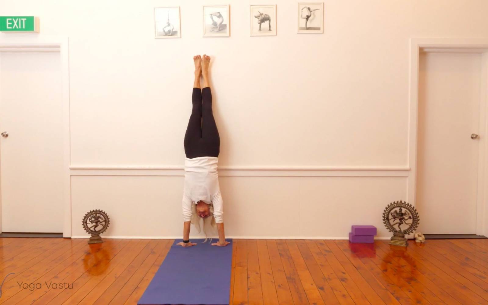 Online Iyengar yoga videos | Backbends: Ustrasana and Urdhva Dhanurasana (Level 1/2)