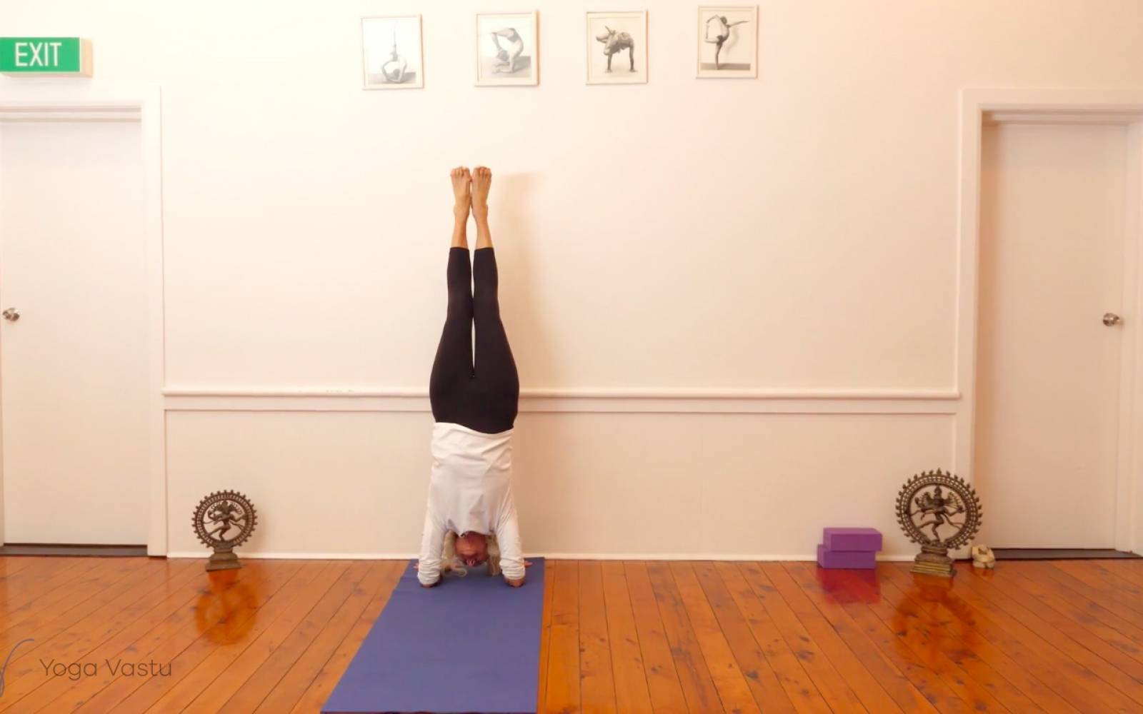 Online Iyengar yoga videos | Backbends: Ustrasana and Urdhva Dhanurasana (Level 1/2)