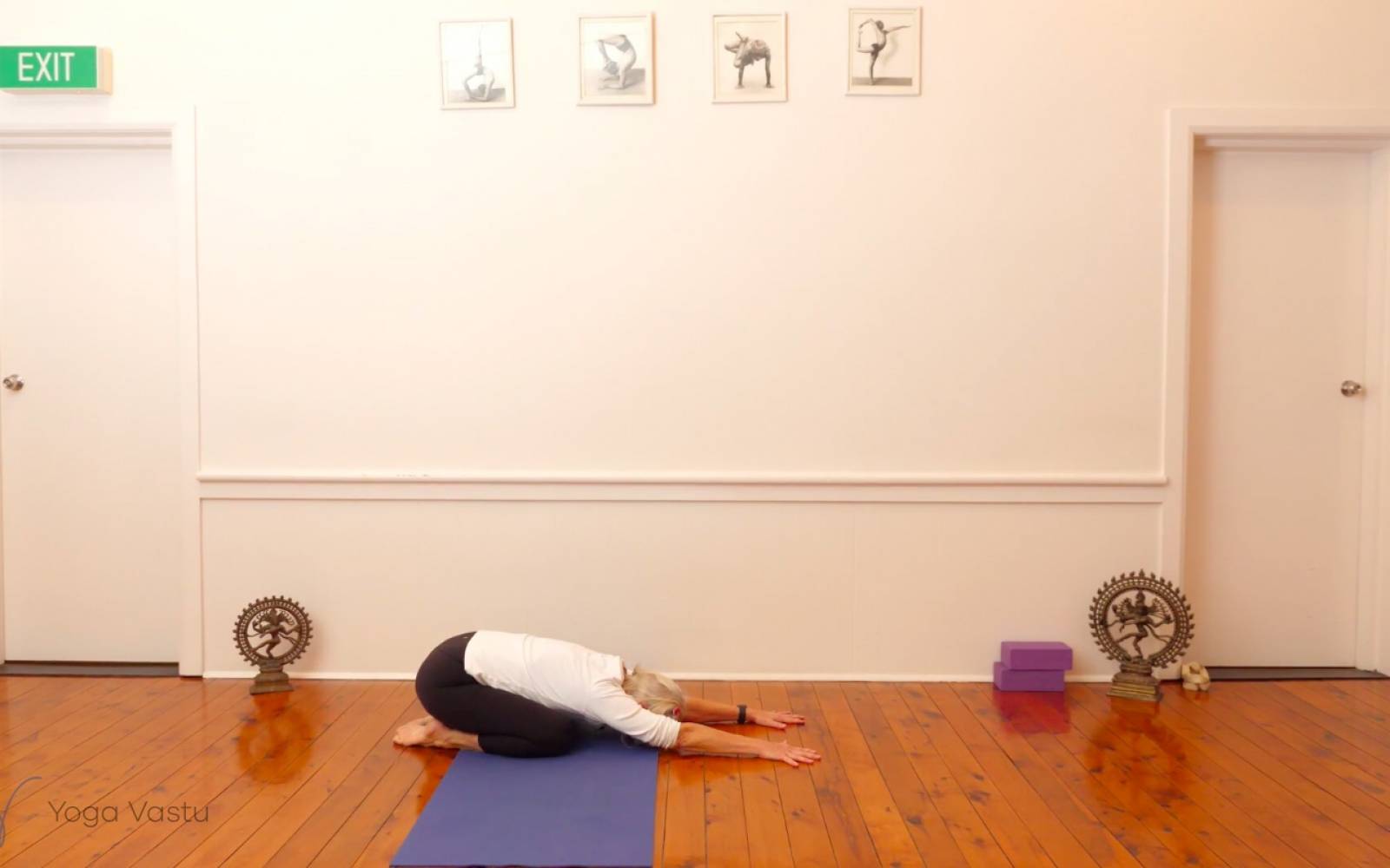 Online Iyengar yoga videos | Backbends: Ustrasana and Urdhva Dhanurasana (Level 1/2)