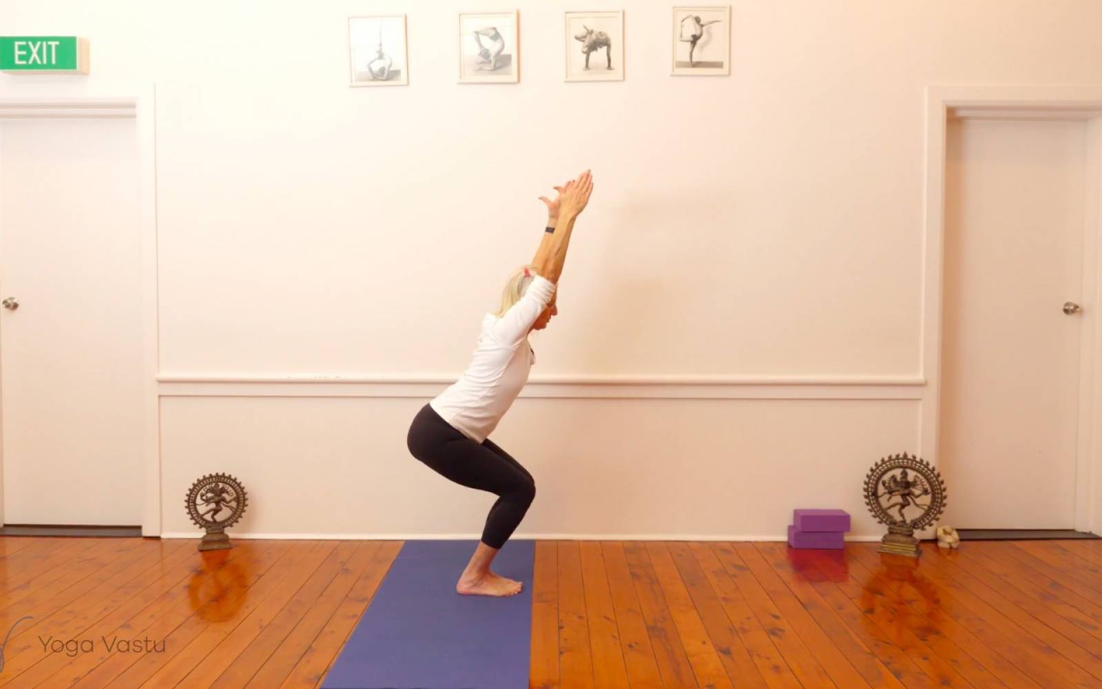 Online Iyengar yoga videos | Backbends: Ustrasana and Urdhva Dhanurasana (Level 1/2)