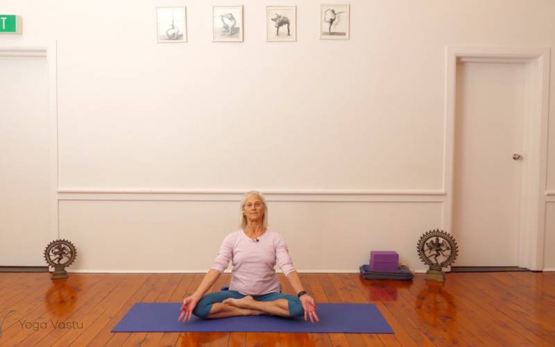 Online Iyengar yoga video thumbnail: Pranayama with seated meditation in Siddhasana (Level 1/2)