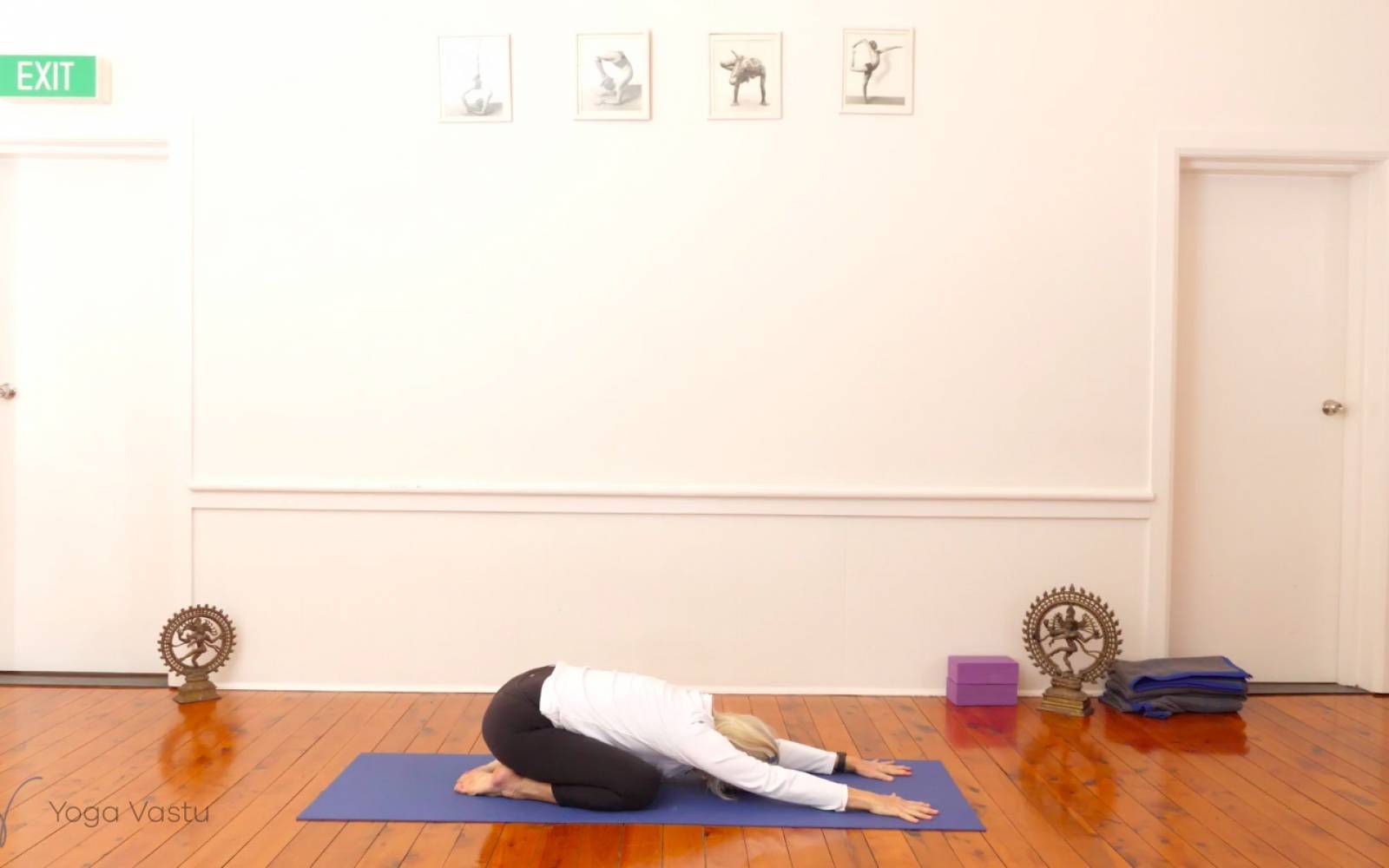 Miscellaneous Class with Arm Balances (Advanced) - Yoga Vastu