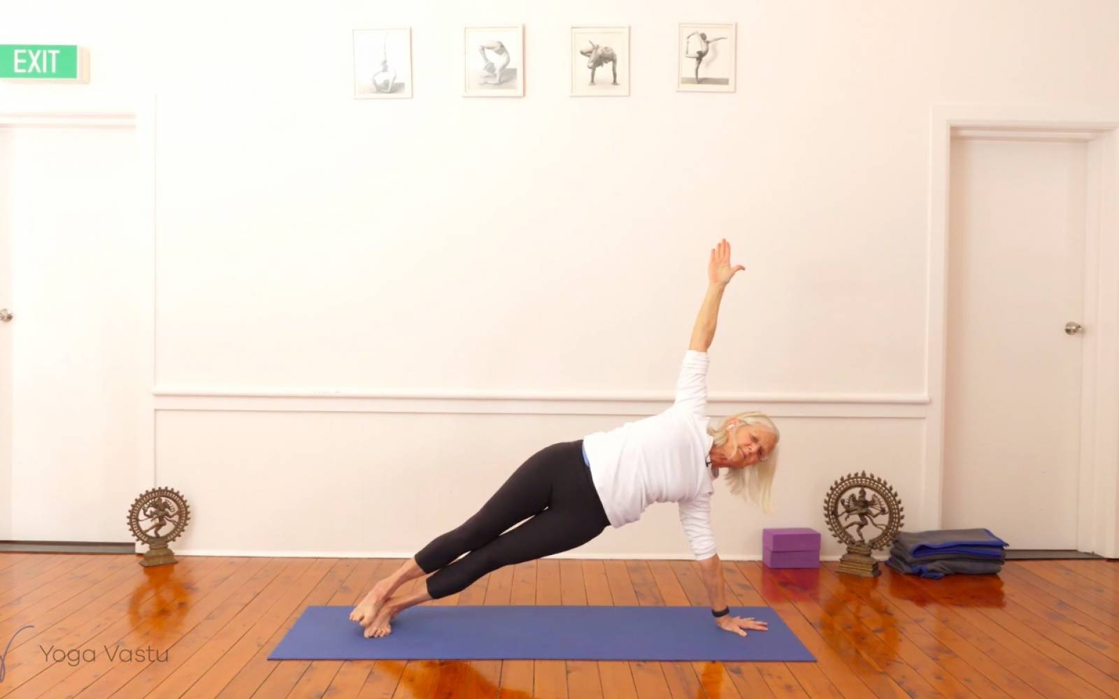 Online Iyengar yoga videos | Miscellaneous Class with Arm Balances (Advanced)