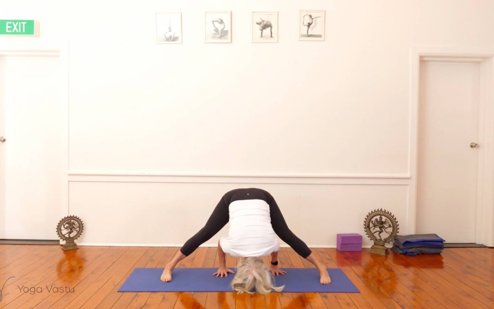 Online Iyengar yoga videos | Miscellaneous Class with Arm Balances (Advanced)
