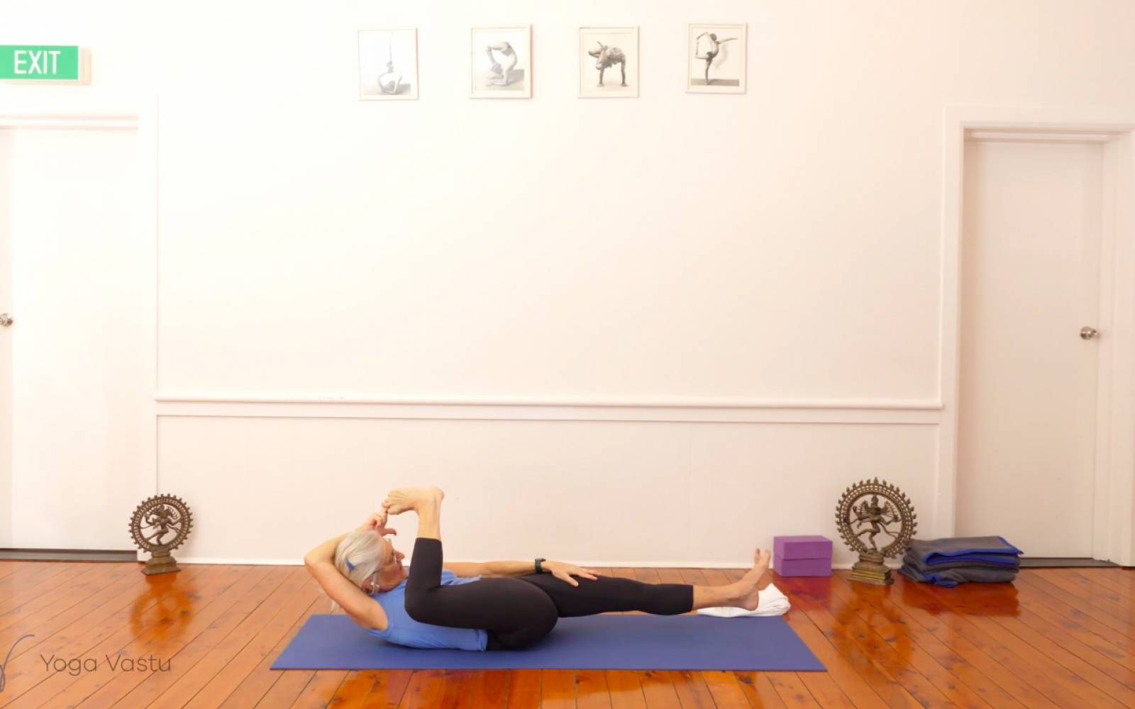 Online Iyengar yoga videos | Miscellaneous Class with Arm Balances (Advanced)