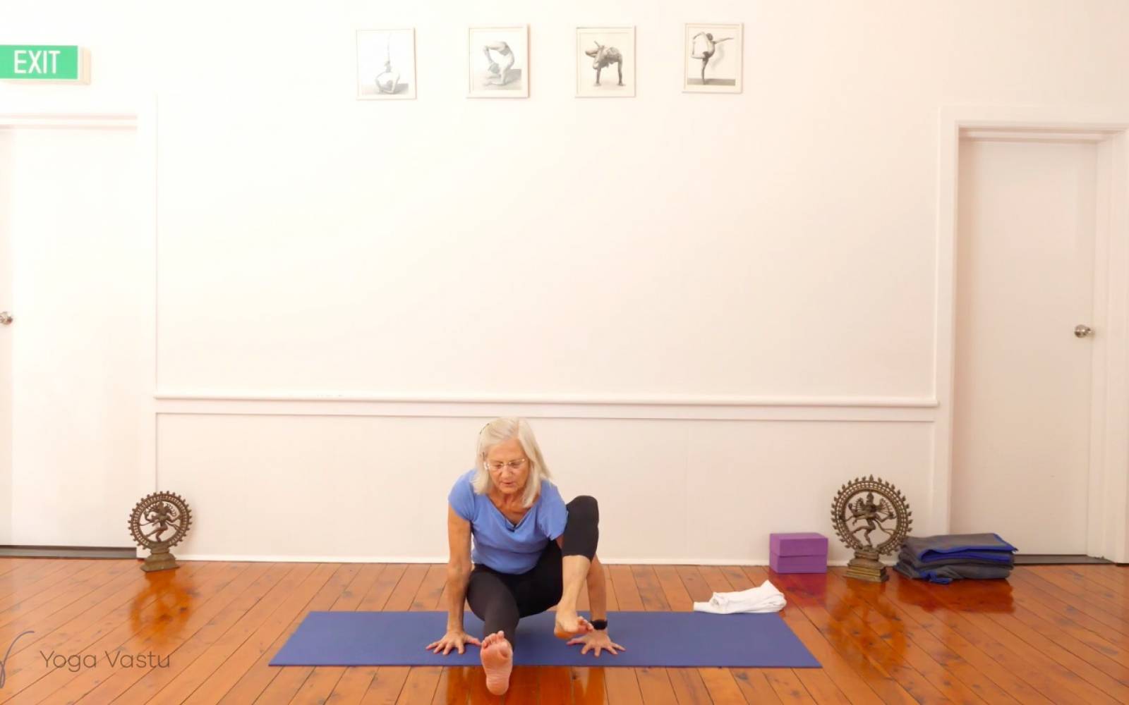 Online Iyengar yoga videos | Miscellaneous Class with Arm Balances (Advanced)