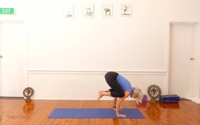 Iyengar Yoga Home Practice Sequence | Iyengar yoga poses, Iyengar yoga, Yoga  for back pain