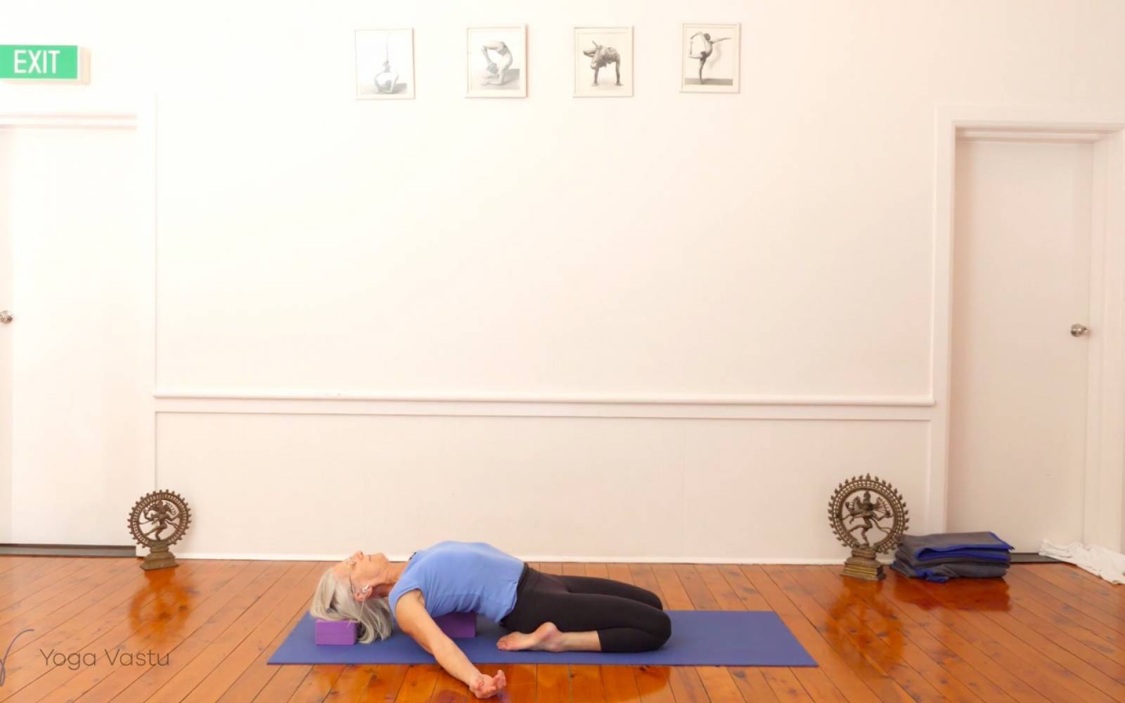 Online Iyengar yoga videos | Miscellaneous Class with Arm Balances (Advanced)