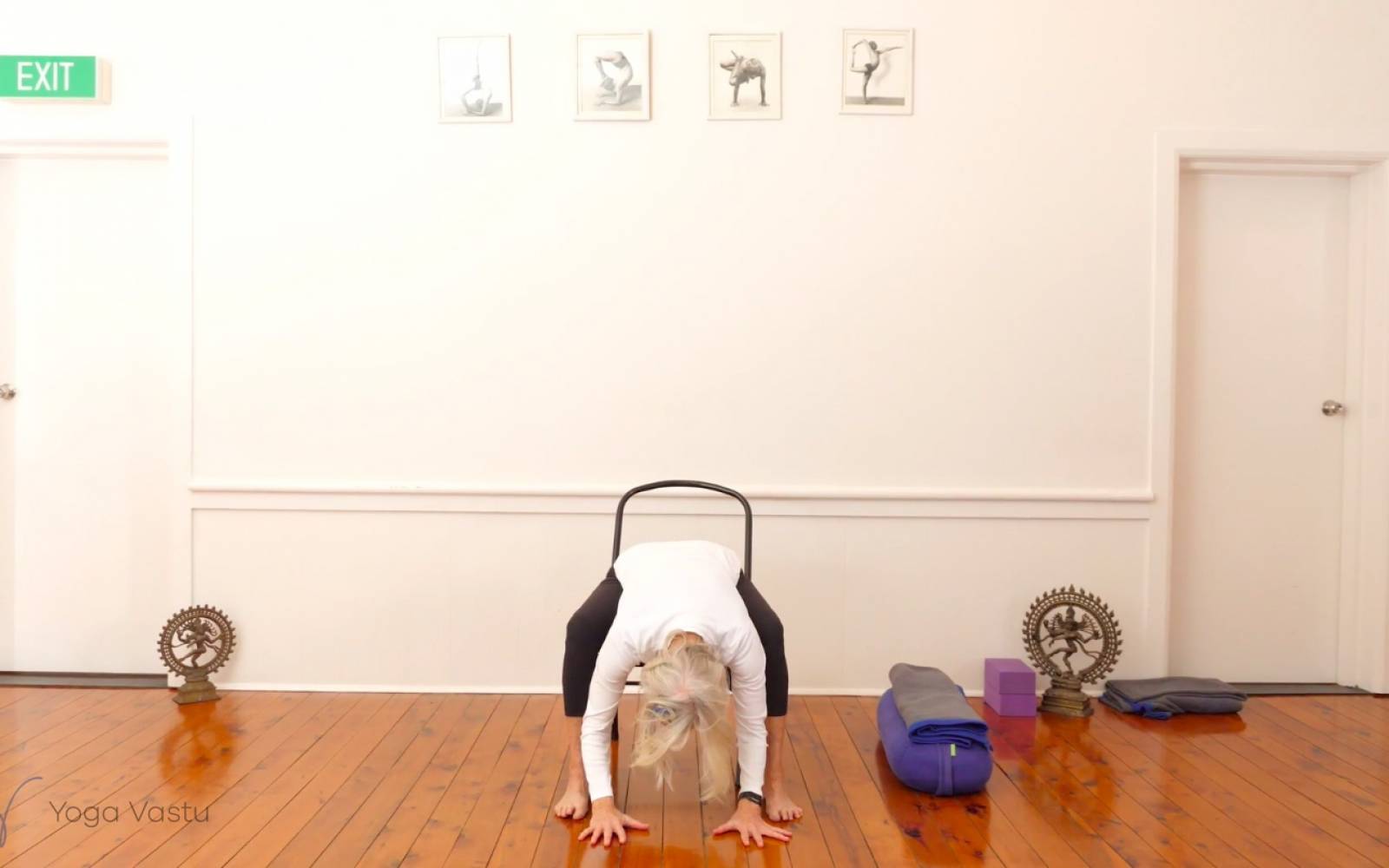 Online Iyengar yoga videos | Miscellaneous Class with Arm Balances (Advanced)