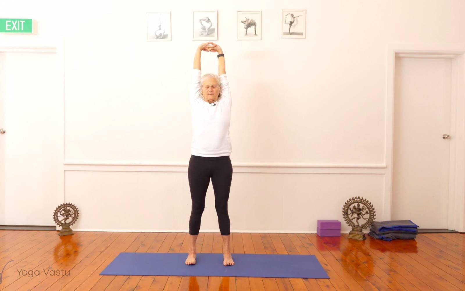 Sydney Observer < Chair Yoga for Seniors