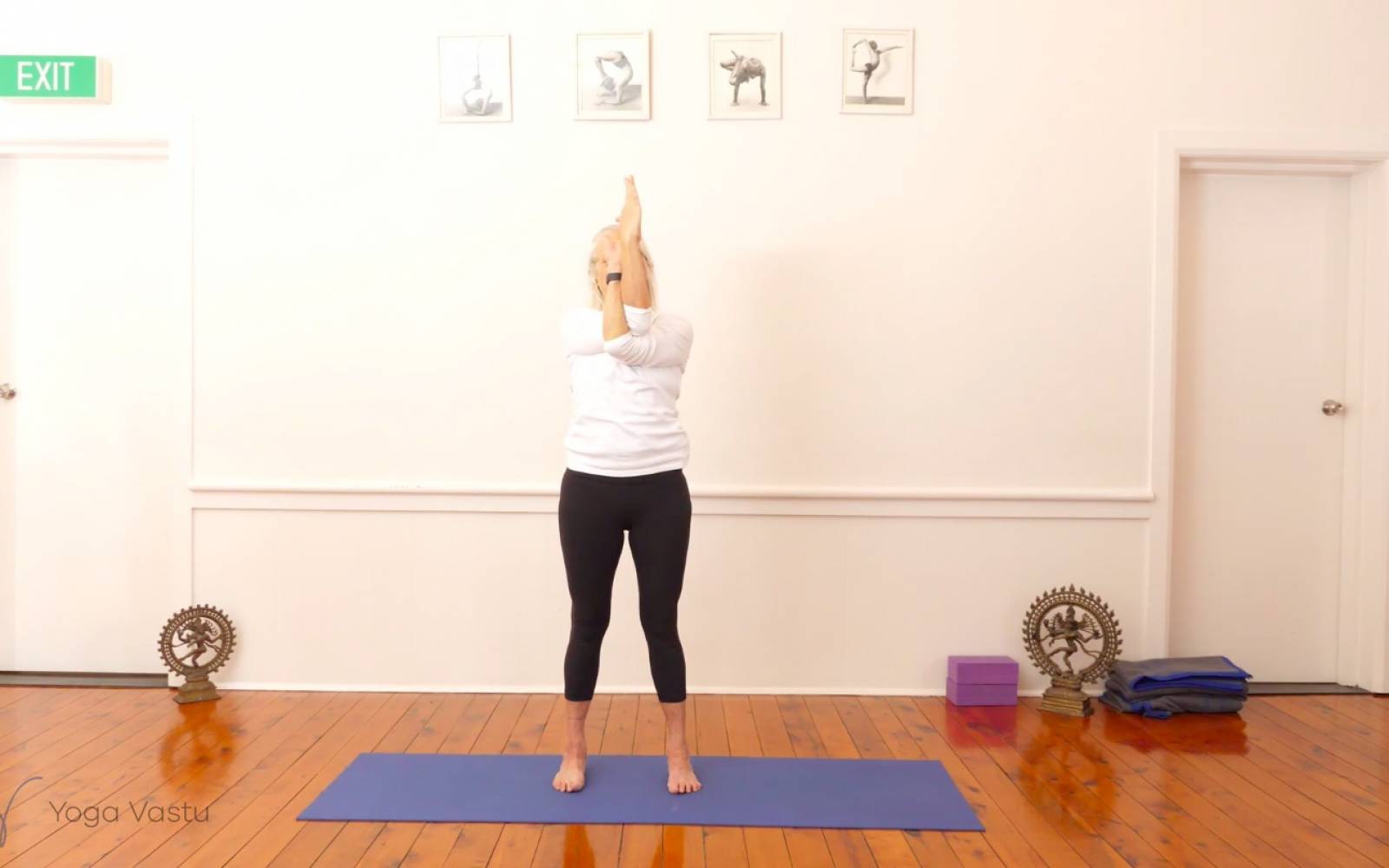 Online Iyengar yoga videos | Miscellaneous Class with Arm Balances (Advanced)