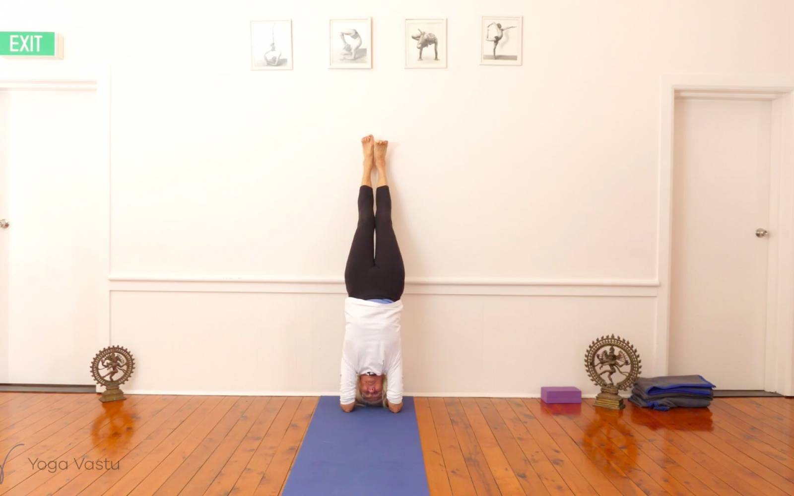 Online Iyengar yoga videos | Miscellaneous Class with Arm Balances (Advanced)