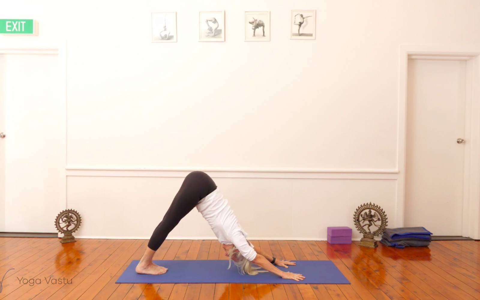 Online Iyengar yoga videos | Miscellaneous Class with Arm Balances (Advanced)