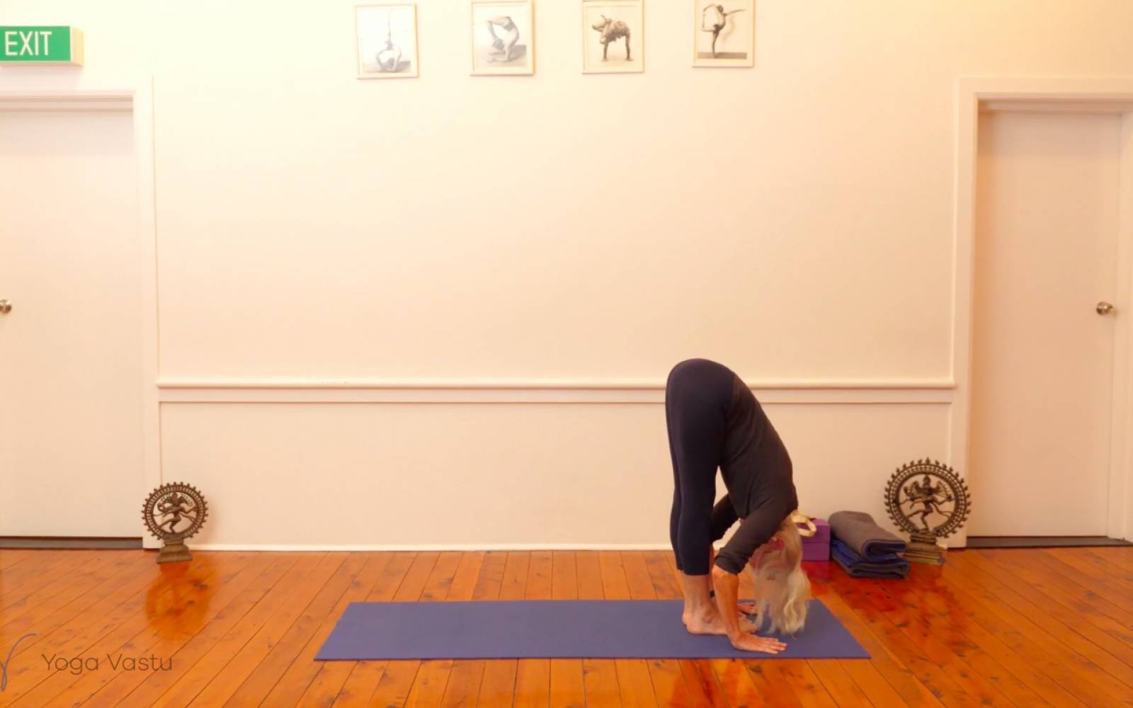 Online Iyengar yoga videos | Exploring Standing Poses with Support (Level 1/2)