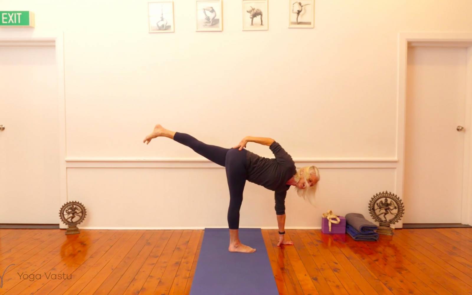 Online Iyengar yoga videos | Exploring Standing Poses with Support (Level 1/2)