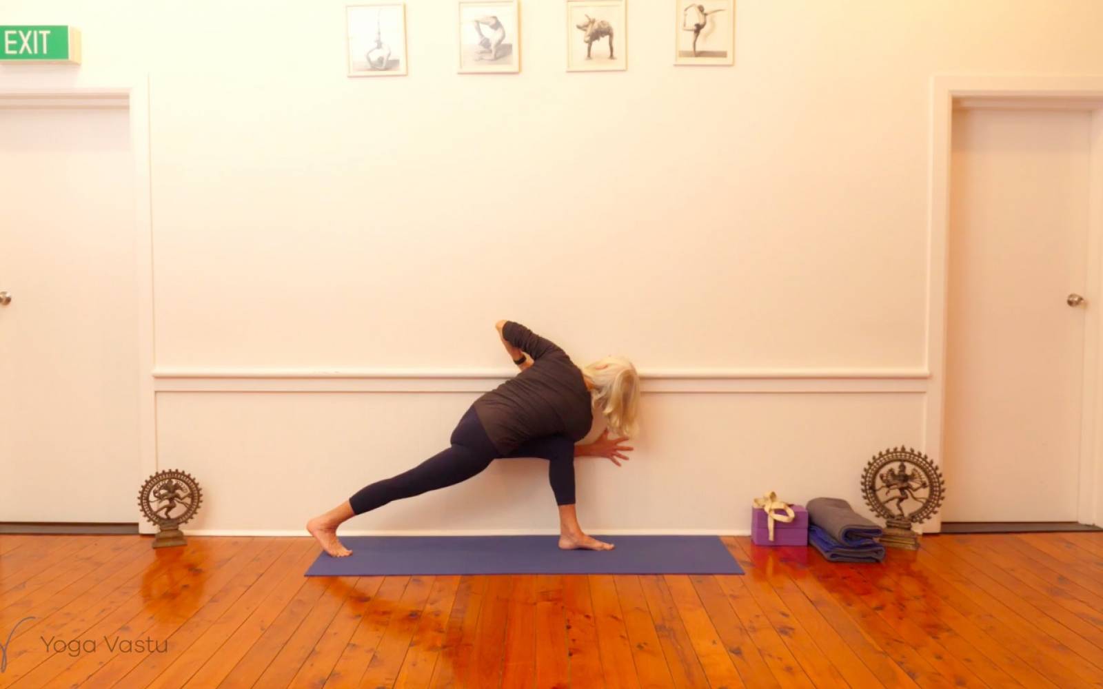 Online Iyengar yoga videos | Exploring Standing Poses with Support (Level 1/2)