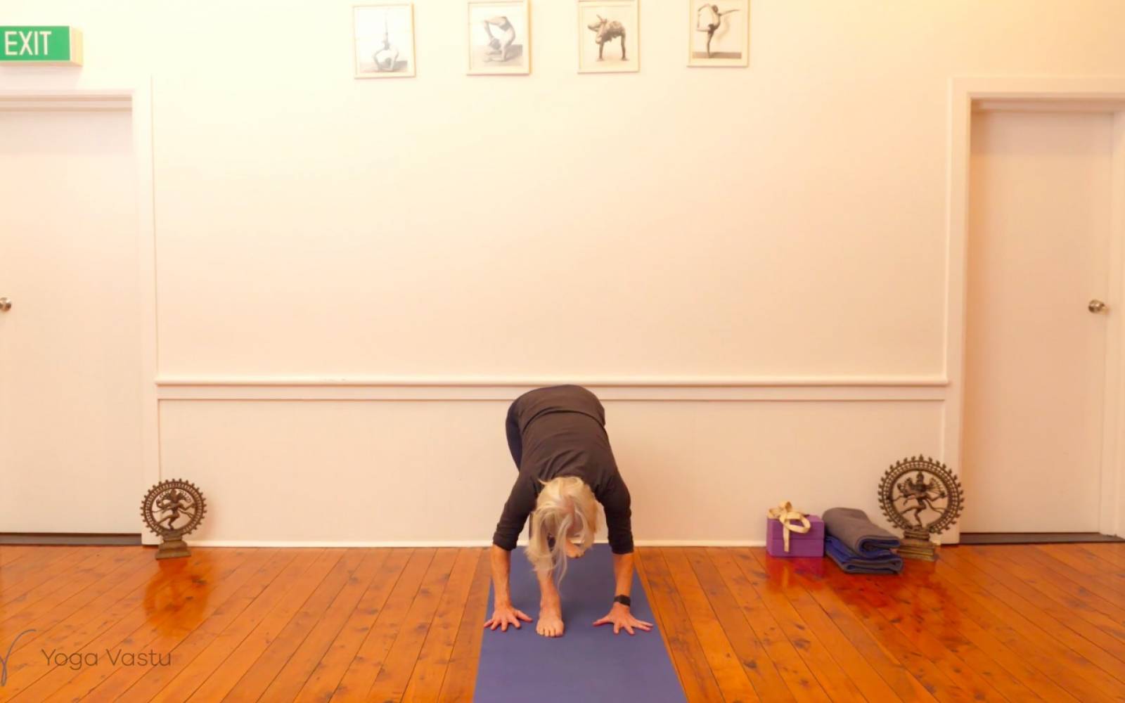 Online Iyengar yoga videos | Exploring Standing Poses with Support (Level 1/2)