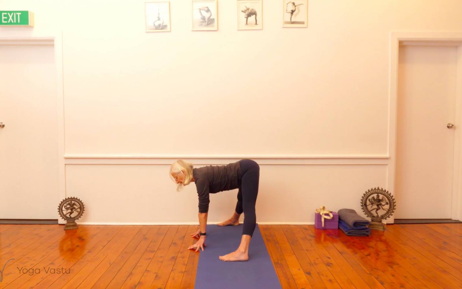 Online Iyengar yoga videos | Exploring Standing Poses with Support (Level 1/2)