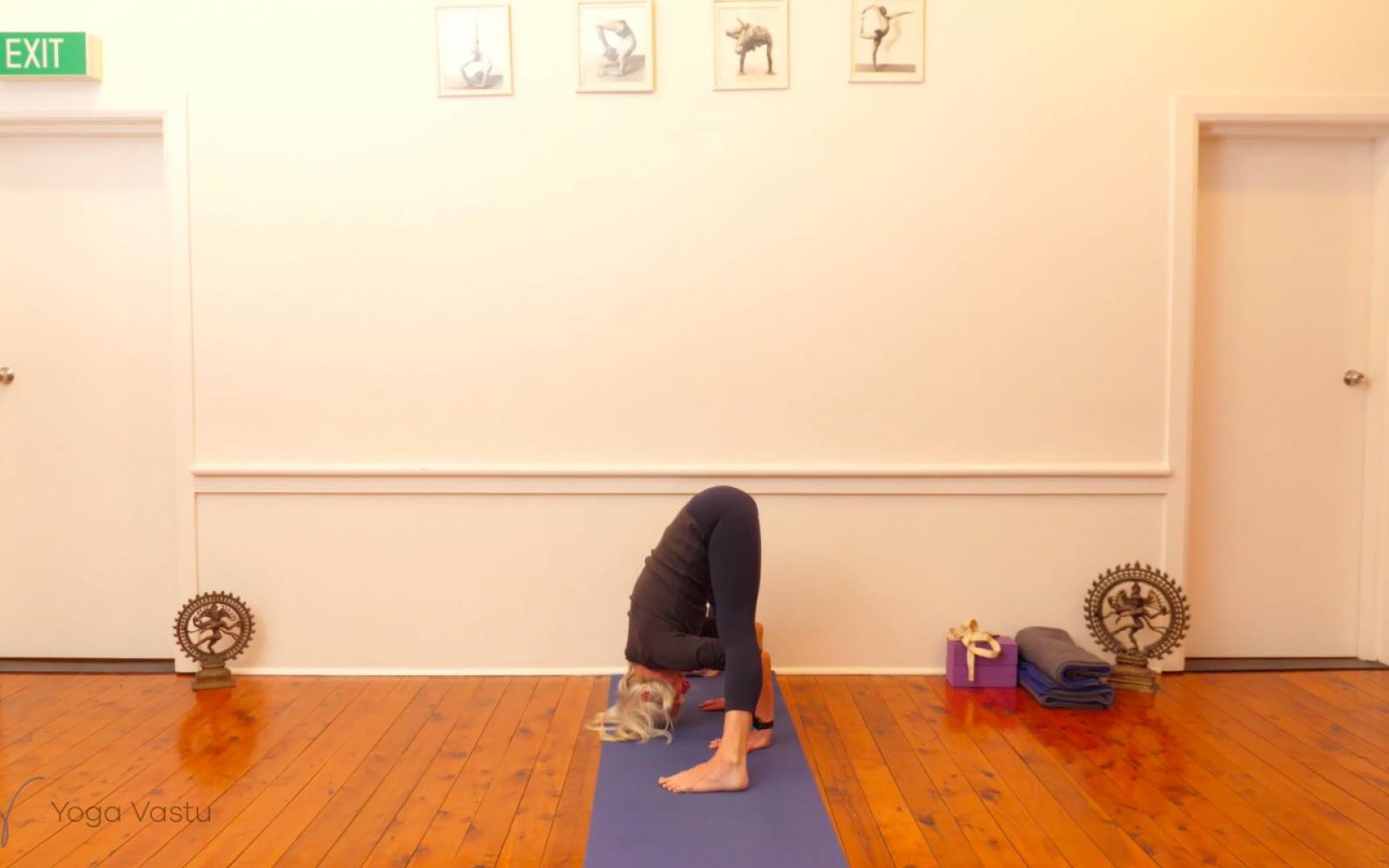 Online Iyengar yoga videos | Exploring Standing Poses with Support (Level 1/2)