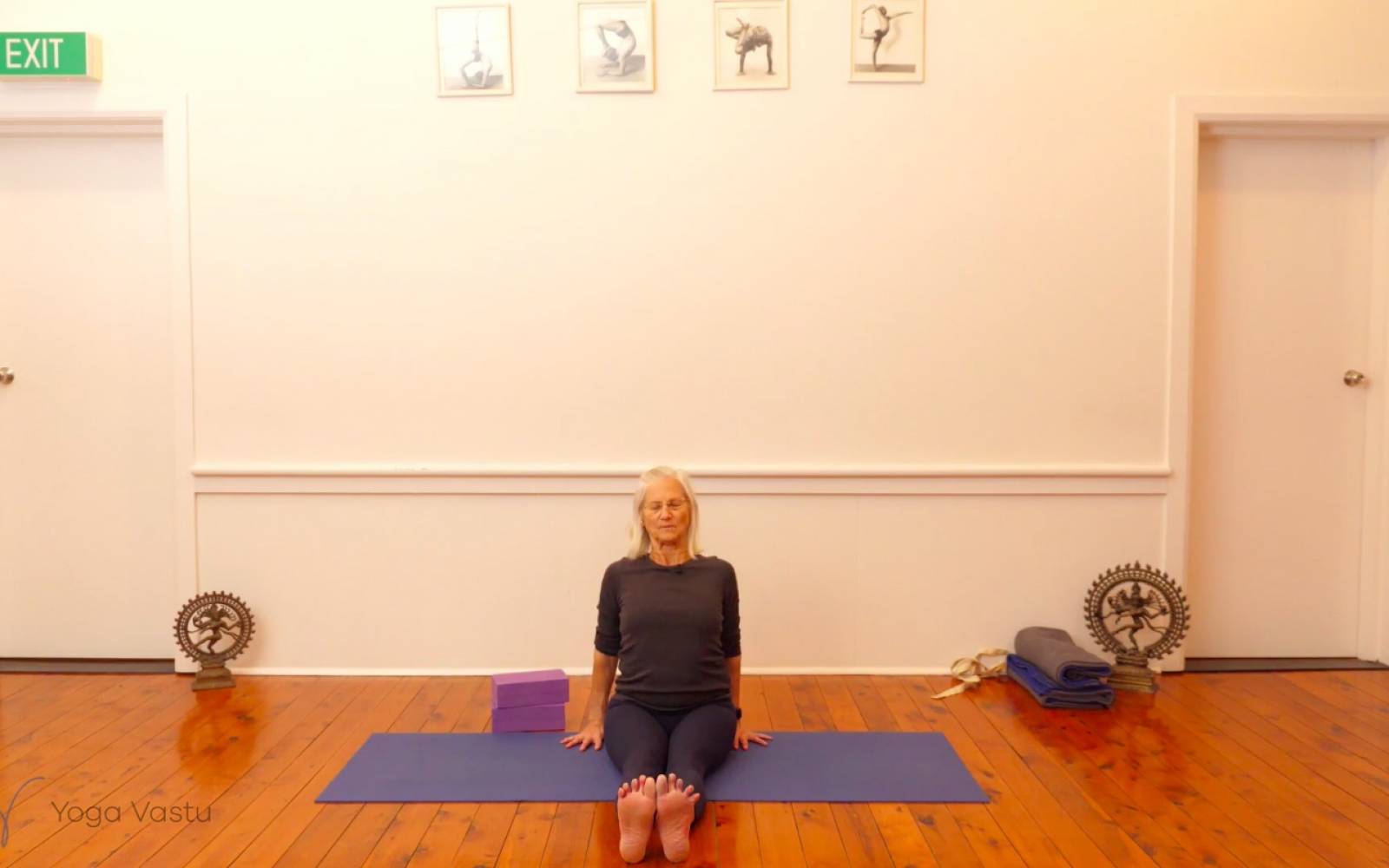 Online Iyengar yoga videos | Exploring Standing Poses with Support (Level 1/2)