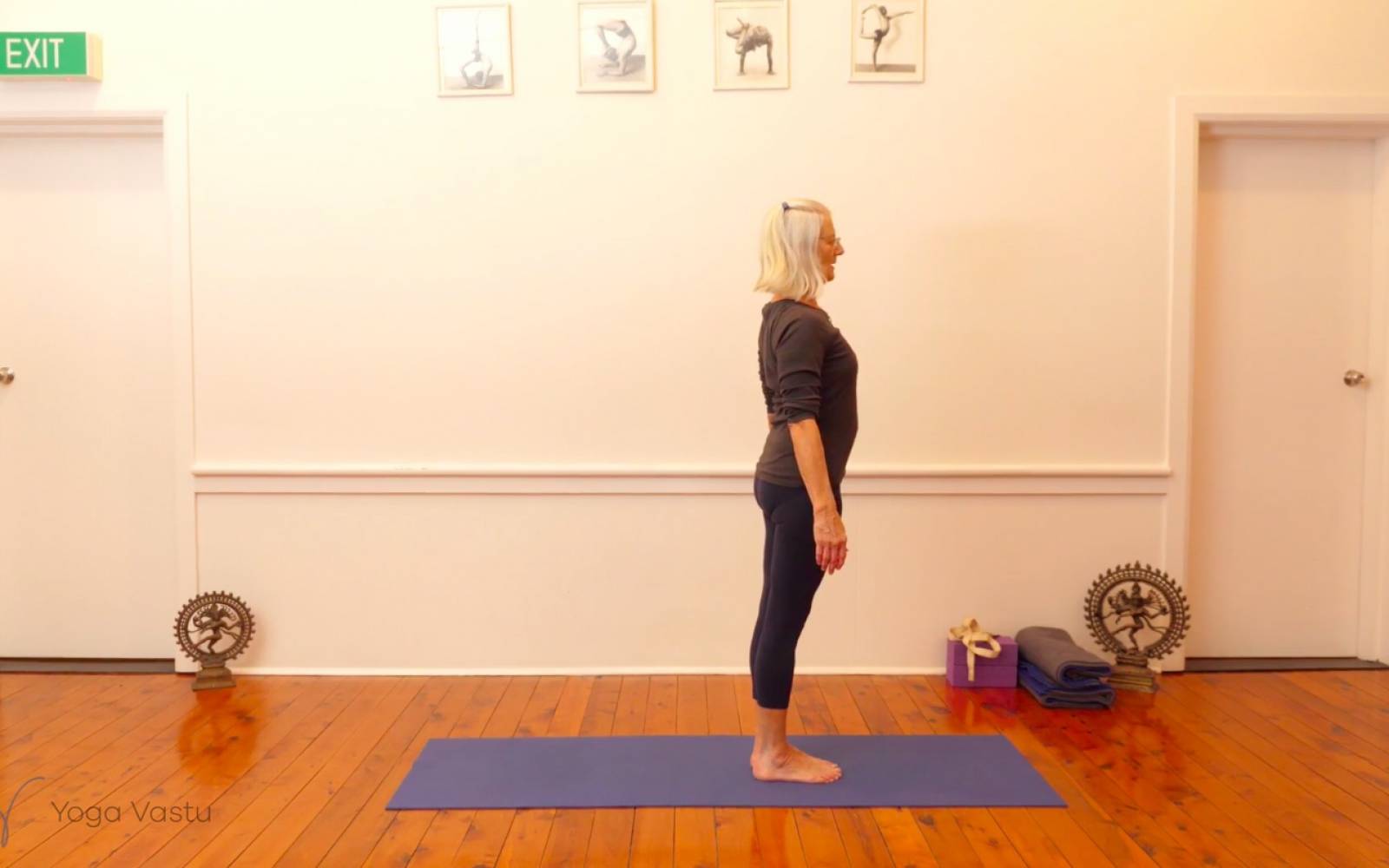 Online Iyengar yoga videos | Exploring Standing Poses with Support (Level 1/2)