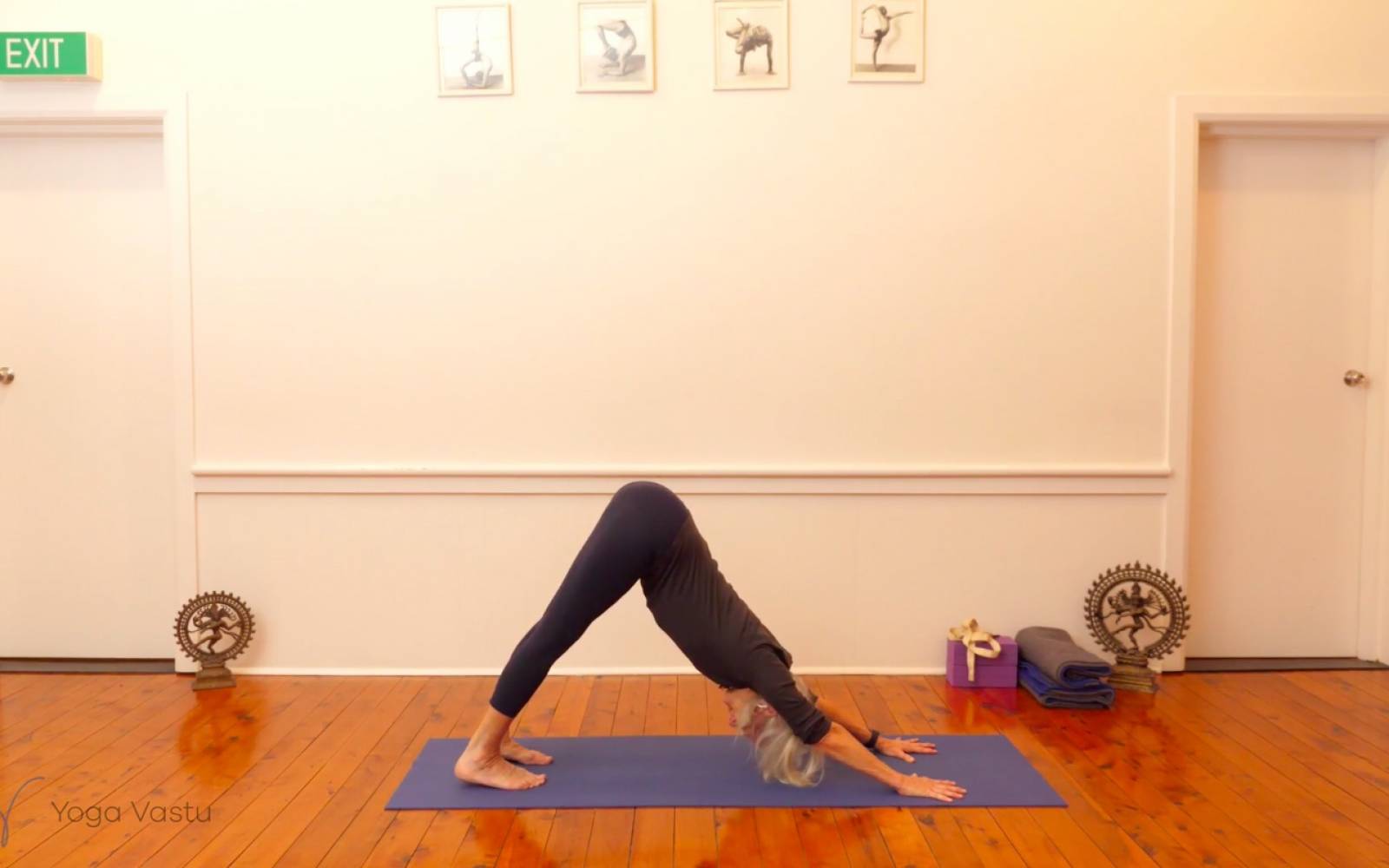 Online Iyengar yoga videos | Exploring Standing Poses with Support (Level 1/2)