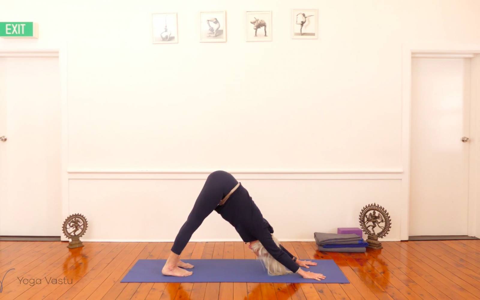 Online Iyengar yoga videos | Discovering Connections in Forward Bends (Advanced)