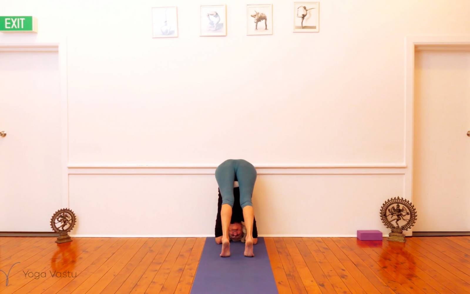 Online Iyengar yoga videos | Mindfulness in Forward Bends (Level 3)