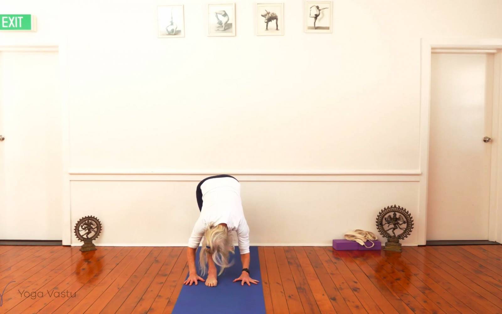 Online Iyengar yoga videos | Observing your Restrictions in Twists with Props (Advanced)