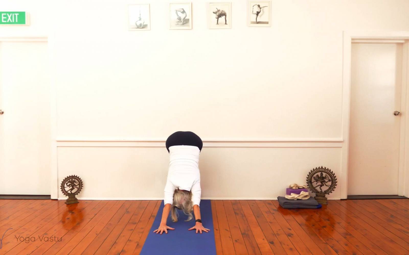Online Iyengar yoga videos | Observing your Restrictions in Twists with Props (Advanced)