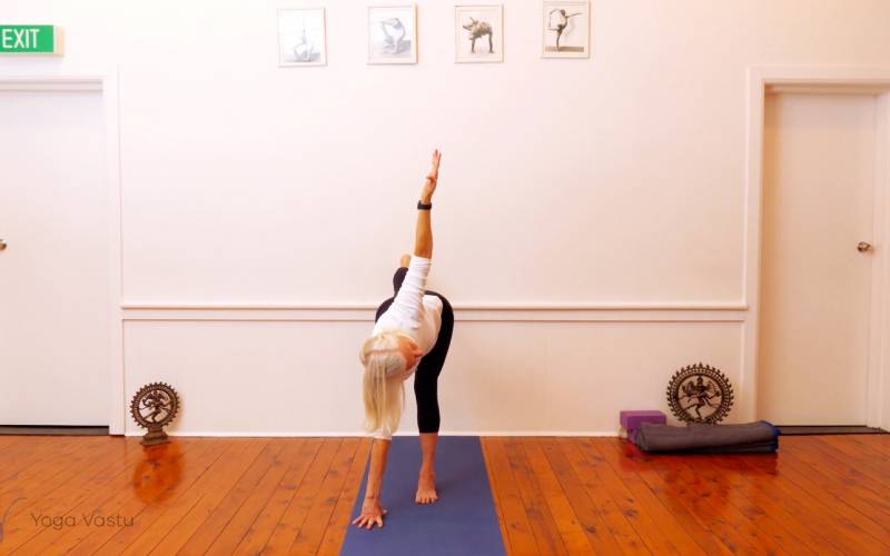 Online Iyengar yoga video thumbnail: Twisting in Standing Poses with Wall Support (Level 3)