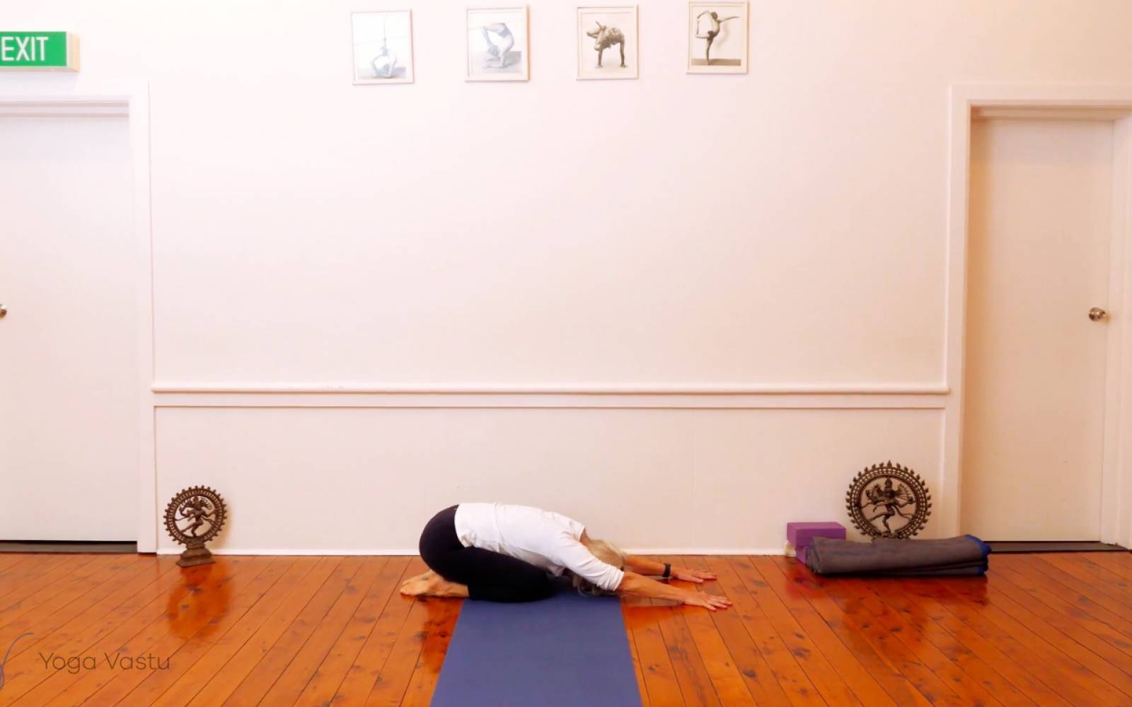 Online Iyengar yoga videos | Twisting in Standing Poses with Wall Support (Level 3)