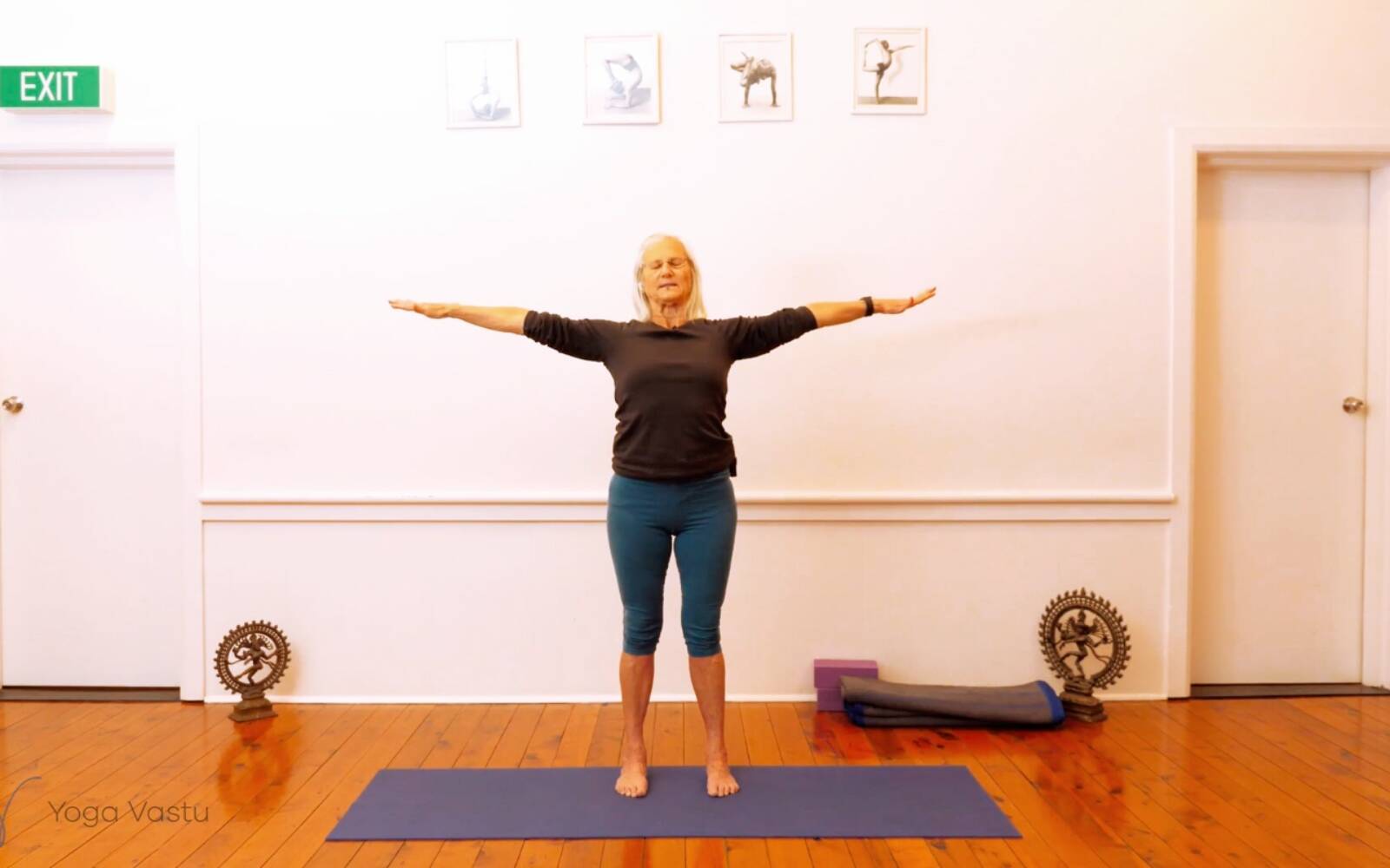 Online Iyengar yoga videos | Miscellaneous session to free body of excess tension (Level 1/2)