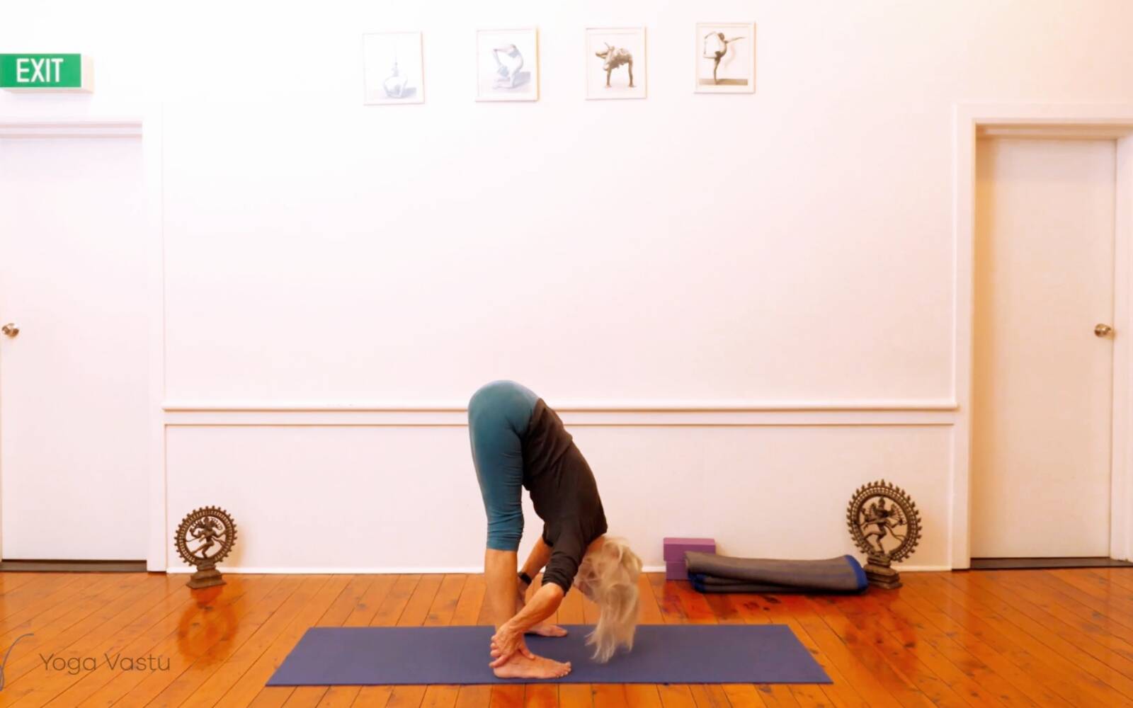 Online Iyengar yoga videos | Miscellaneous session to free body of excess tension (Level 1/2)