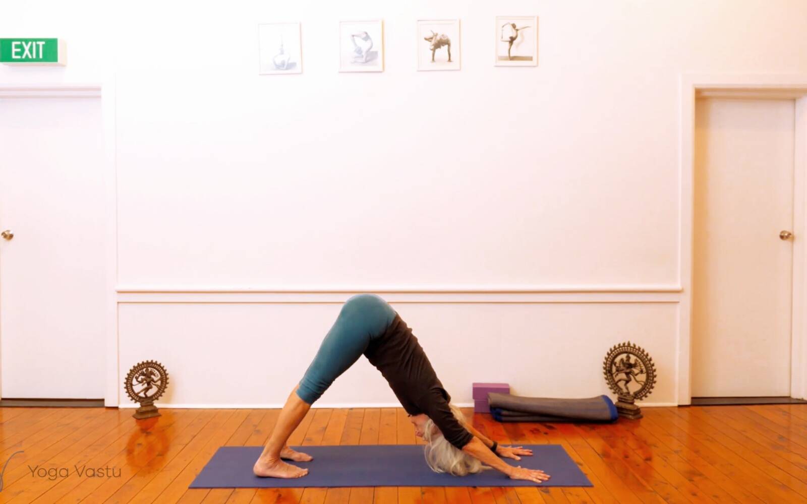 Online Iyengar yoga videos | Miscellaneous session to free body of excess tension (Level 1/2)