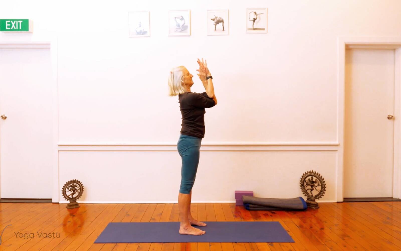 Online Iyengar yoga videos | Miscellaneous session to free body of excess tension (Level 1/2)