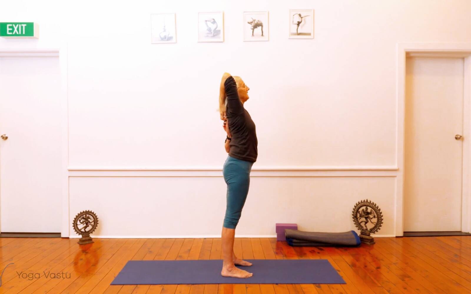 Online Iyengar yoga videos | Miscellaneous session to free body of excess tension (Level 1/2)