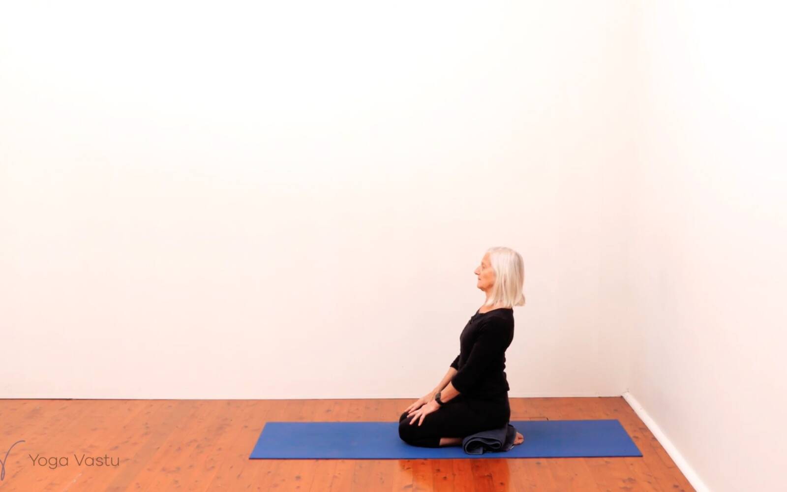Online Iyengar yoga videos | Standing Pose Foundations with Introduction to Twists (Beginners)