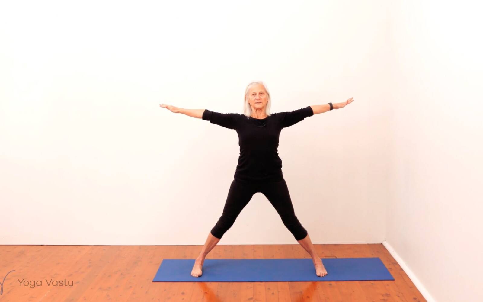 Standing Pose Foundations with Introduction to Twists | Yoga Vastu