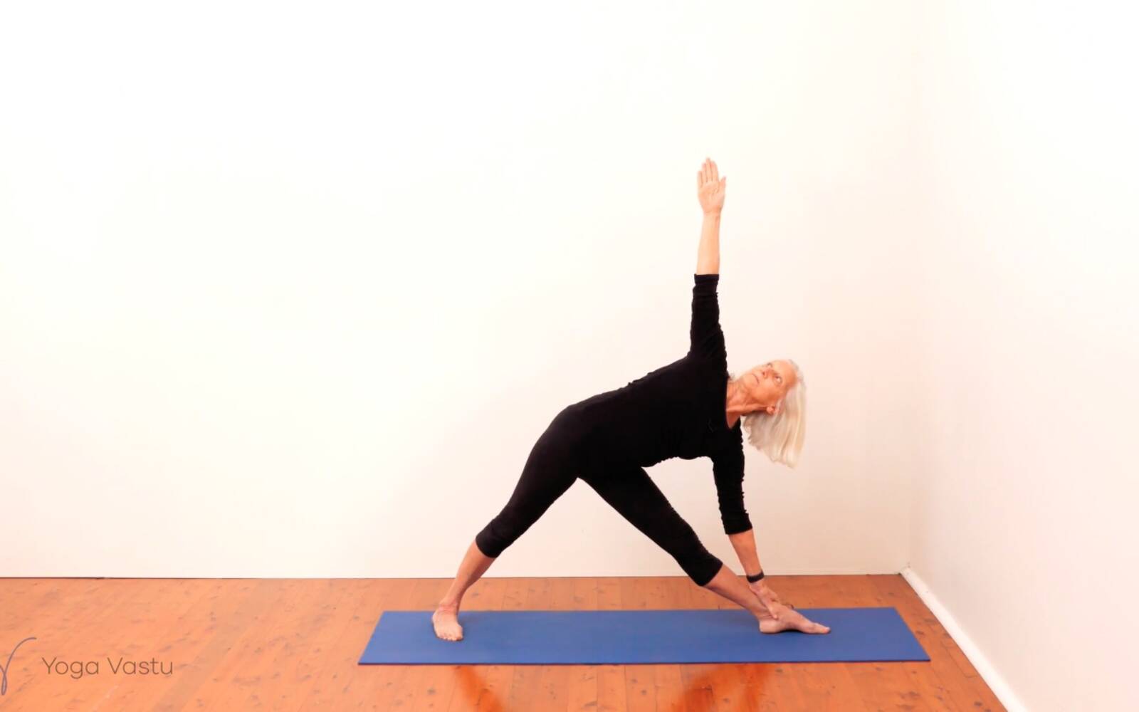 Online Iyengar yoga videos | Standing Pose Foundations with Introduction to Twists (Beginners)