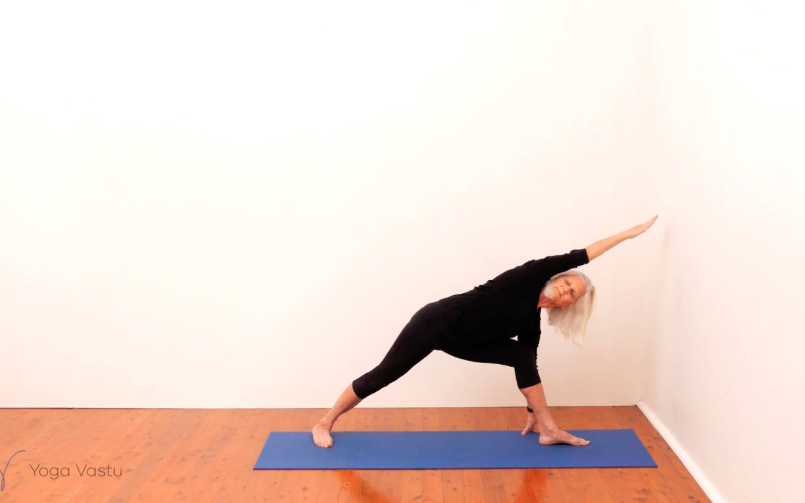 Online Iyengar yoga videos | Standing Pose Foundations with Introduction to Twists (Beginners)