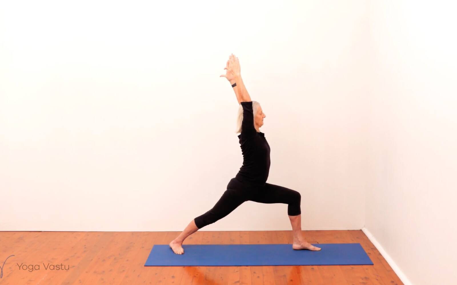 Online Iyengar yoga videos | Standing Pose Foundations with Introduction to Twists (Beginners)